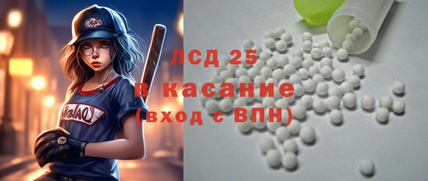 сатива Коряжма