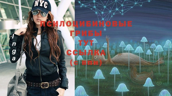 ГАЛЛЮЦИНОГЕННЫЕ ГРИБЫ Алексеевка