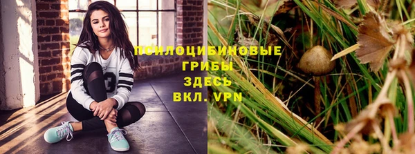твердый Абинск