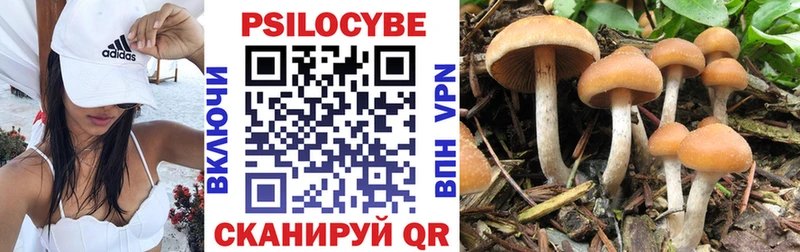 OMG как зайти  Брюховецкая  Галлюциногенные грибы Cubensis 